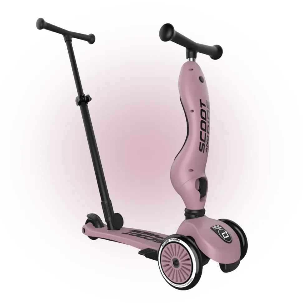 Cамокат Scoot and Ride 2 в 1 Highwaykick 1 Push and Go Wildberry