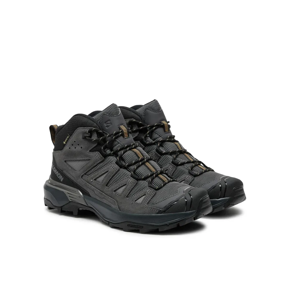 Черевики Salomon X ULTRA 360 LTR MID GTX чол. сірий