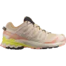 Кроссовки Salomon XA PRO 3D V9 GTX