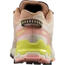 Кроссовки Salomon XA PRO 3D V9 GTX