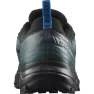 Кроссовки Salomon WANDER GTX