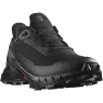 Кроссовки Salomon ALPHACROSS 5 GTX W