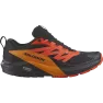 Кроссовки Salomon SENSE RIDE 5 GTX