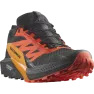 Кроссовки Salomon SENSE RIDE 5 GTX