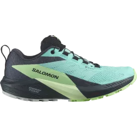 Кроссовки Salomon SENSE RIDE 5 GTX