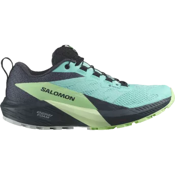 Кросівки Salomon SENSE RIDE 5 GTX
