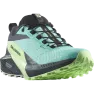 Кроссовки Salomon SENSE RIDE 5 GTX