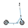 Самокат двухколесный детский Globber NL500-205 Blue