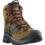 Обувь высокая туристическая мужская Salomon Quest 4 GTX M - rubber black fiery red