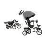 Велосипед трехколесный TILLY FLIP T-390/1 Серый/1/