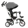 Велосипед трехколесный TILLY FLIP T-390/1 Серый/1/