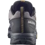 Кроссовки Salomon X ULTRA 5 GTX муж. серый