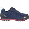 Кроссовки треккинговые мужские синие Millet Friction GTX U