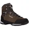 LOWA ботинки Camino Evo GTX brown-graphite
