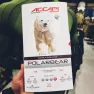 Компрессионные термоштаны мужские Accapi Polar Bear