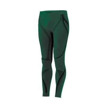 Термоштани мужские Accapi Ergowool Green до -35*