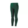 Термоштани мужские Accapi Ergowool Green до -35*