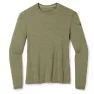 Термокофта мужская Smartwool Men's Merino 250 Baselayer Crew Boxed Green