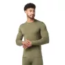 Термокофта мужская Smartwool Men's Merino 250 Baselayer Crew Boxed Green