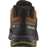 Кросівки Salomon X ULTRA 4 GTX чол. коричневий