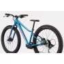 Велосипед 24" Cannondale Trail Plus (2025) deep teal