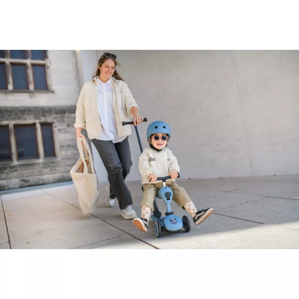 Cамокат Scoot and Ride 2 в 1 Highwaykick 1 Push and Go Steel