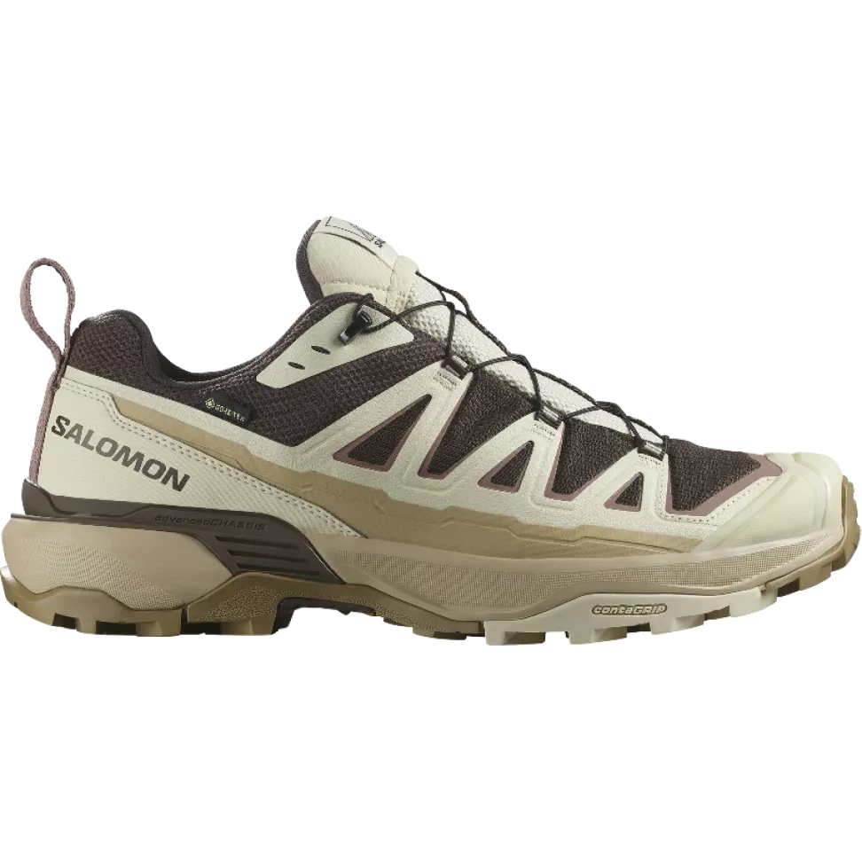 Кросівки Salomon X ULTRA 360 EDGE GTX чол. бежевий