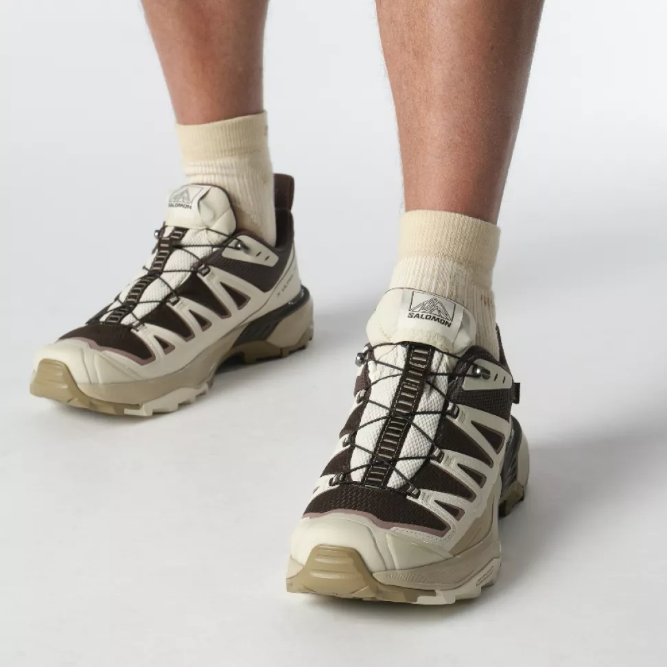 Кросівки Salomon X ULTRA 360 EDGE GTX чол. бежевий