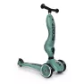 Cамокат Scoot and Ride 2 в 1 Highwaykick Forest