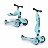 Cамокат Scoot and Ride 2 в 1 Highwaykick Blueberry