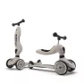 Cамокат Scoot and Ride 2 в 1 Highwaykick Ash