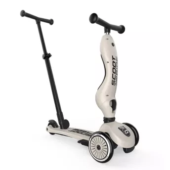 Cамокат Scoot and Ride 2 в 1 Highwaykick 1 Push and Go Ash