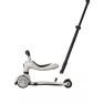 Cамокат Scoot and Ride 2 в 1 Highwaykick 1 Push and Go Ash