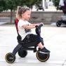 Складной детский трехколесный велосипед с родительской ручкой 5в1 Doona Liki Trike S3 Flame Red