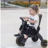Складной детский трехколесный велосипед с родительской ручкой 5в1 Doona Liki Trike S3 Grey Hound