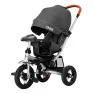 Велосипед трехколесный Tilly Travel T-387/1 Dark Grey