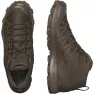 Ботинки Salomon Speed Assault 2 GTX Earth