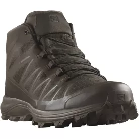 Ботинки Salomon Speed Assault 2 GTX Earth