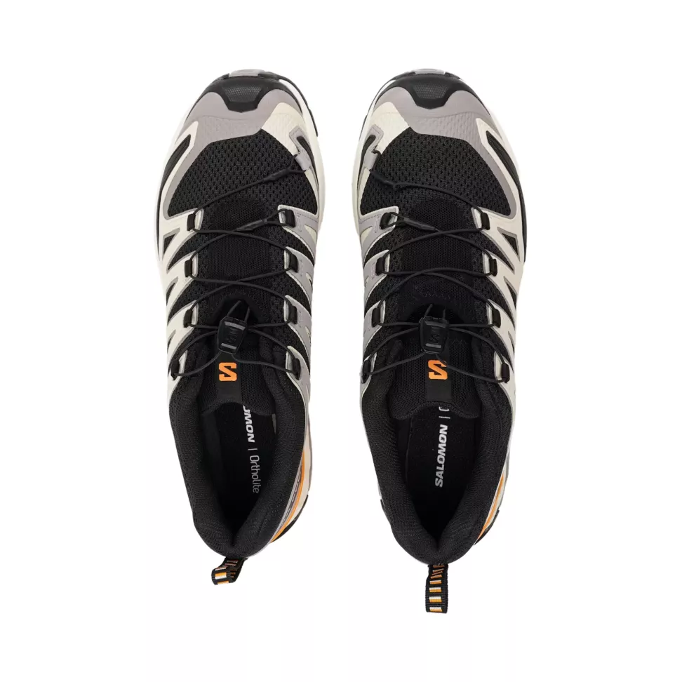 Мужские кроссовки Salomon XA Pro 3D V9