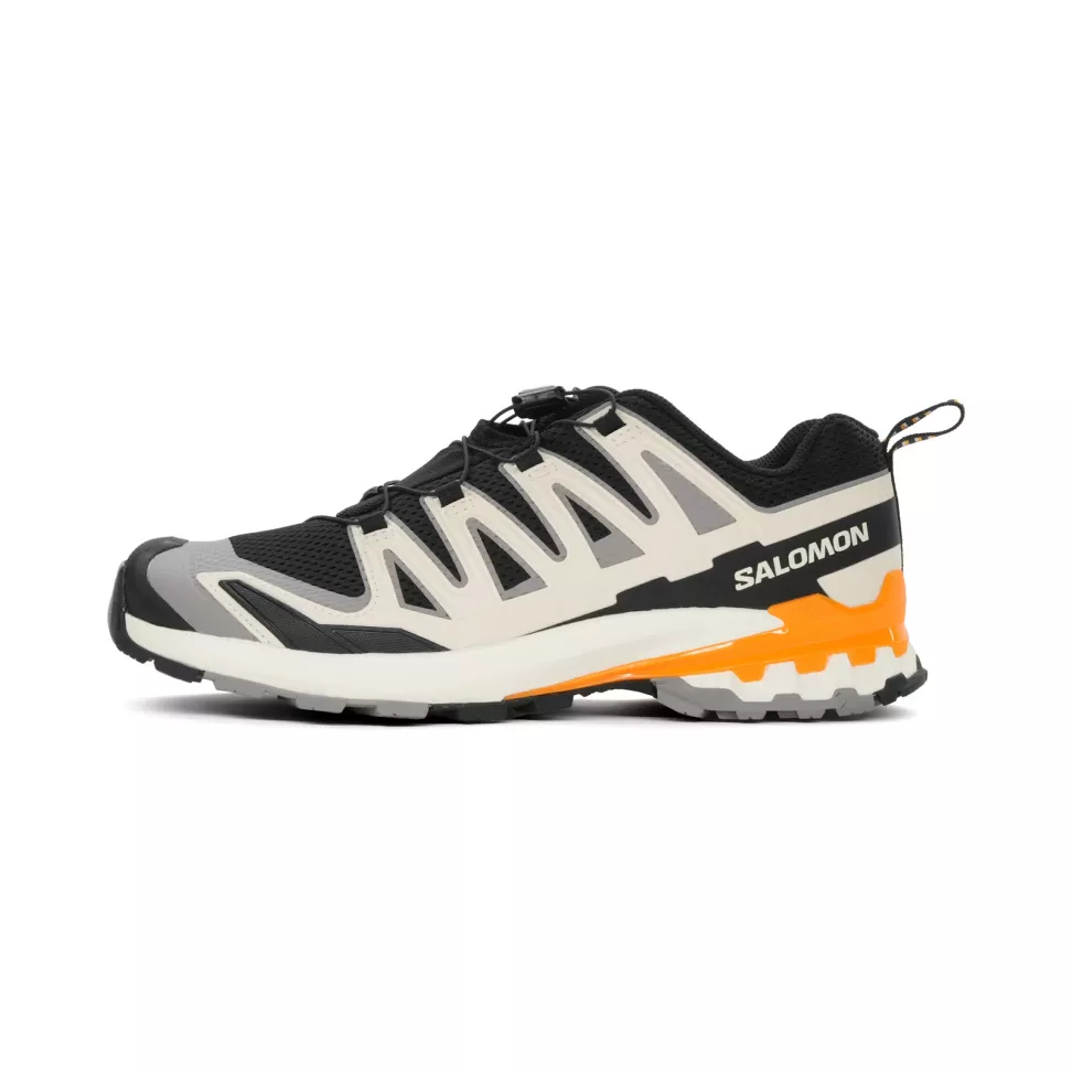 Мужские кроссовки Salomon XA Pro 3D V9