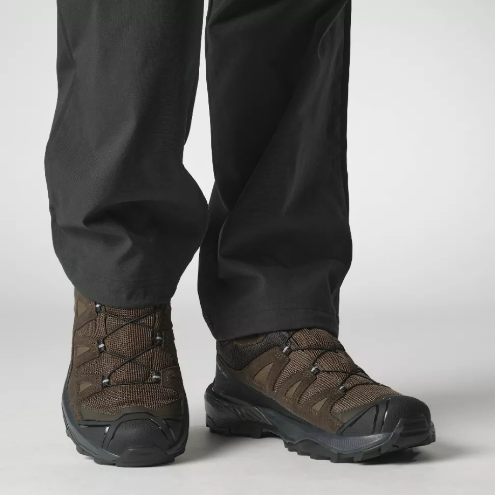 Кроссовки Salomon X ULTRA 360 LTR GTX муж. коричневый