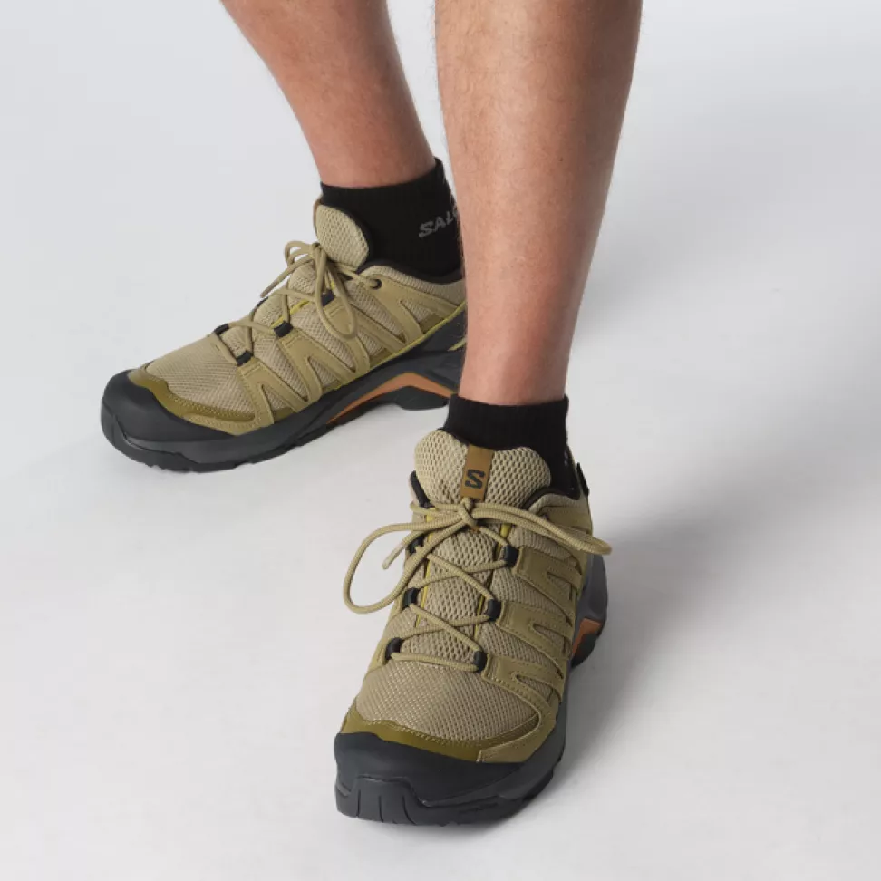 Кроссовки Salomon X-ADVENTURE RECON GTX муж. коричневый