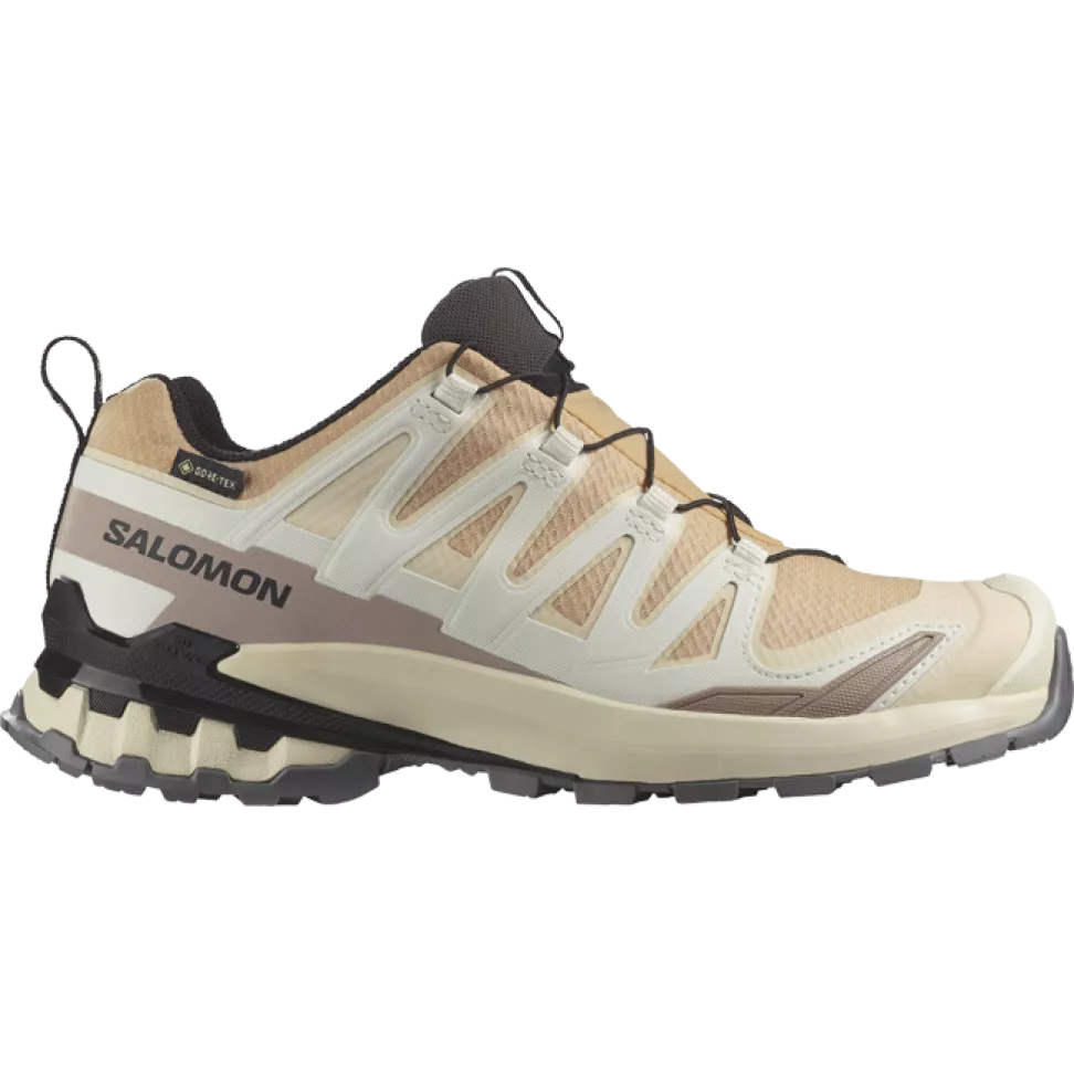 Кроссовки Salomon XA PRO 3D V9 GTX W жен. бежевый