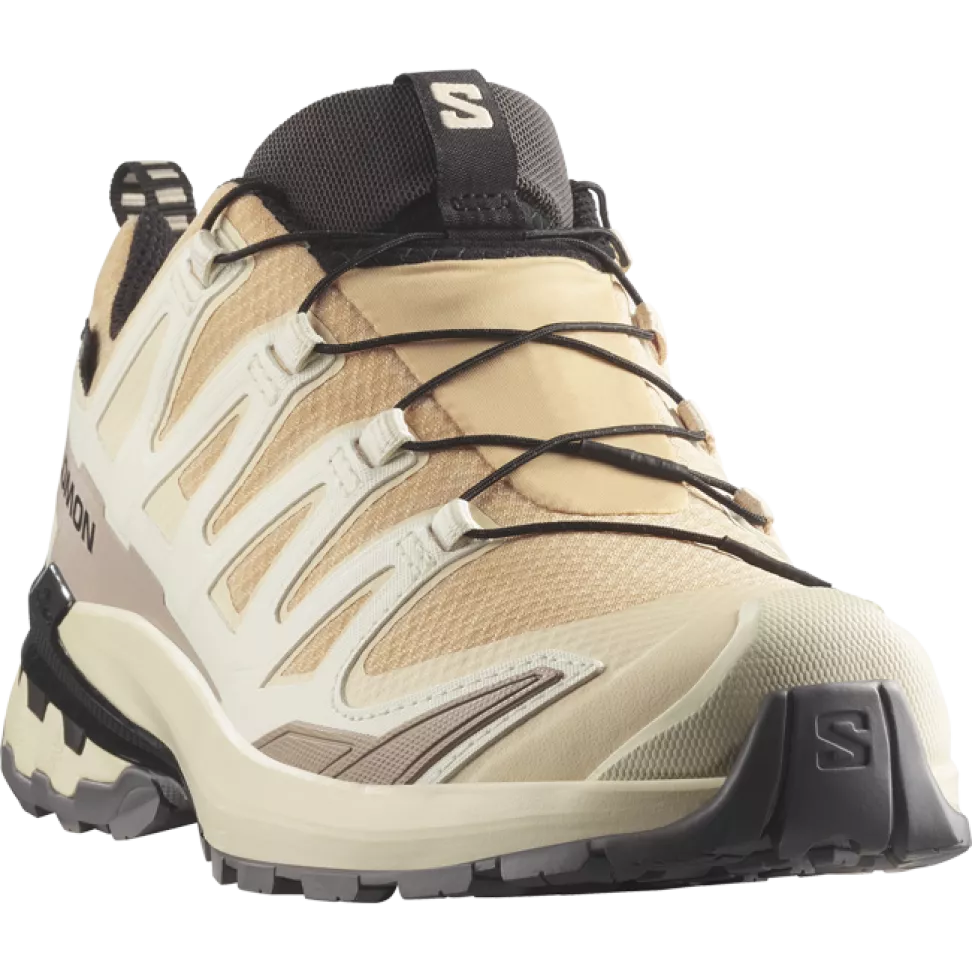 Кроссовки Salomon XA PRO 3D V9 GTX W жен. бежевый