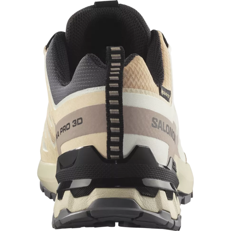 Кроссовки Salomon XA PRO 3D V9 GTX W жен. бежевый