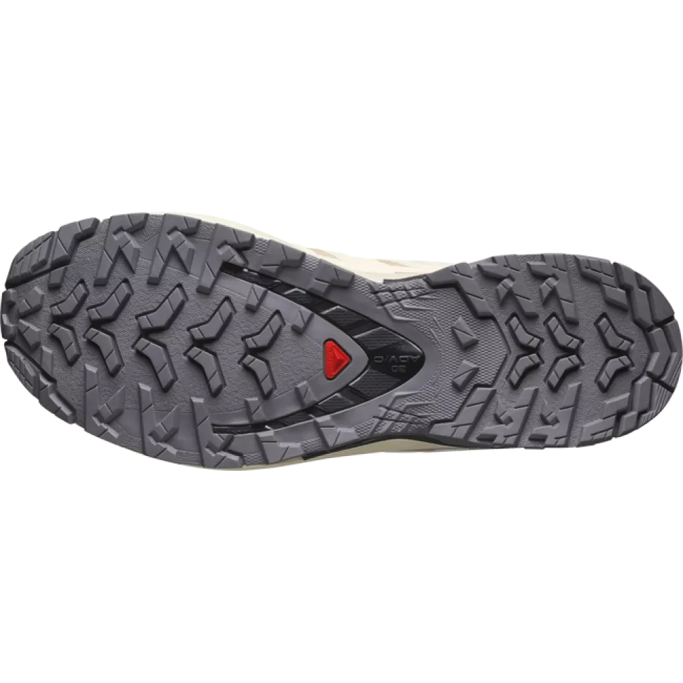 Кроссовки Salomon XA PRO 3D V9 GTX W жен. бежевый