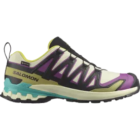 Кроссовки Salomon XA PRO 3D V9 GTX муж. разноцветный