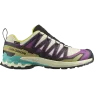 Кроссовки Salomon XA PRO 3D V9 GTX муж. разноцветный