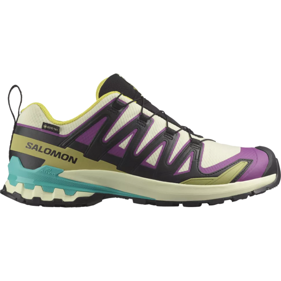 Кроссовки Salomon XA PRO 3D V9 GTX муж. разноцветный