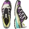 Кроссовки Salomon XA PRO 3D V9 GTX муж. разноцветный